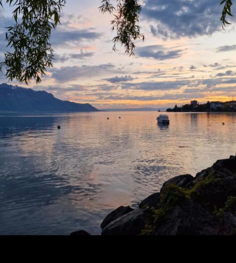 Nid Douillet A Deux Pas Du Lac Clarens 外观 照片